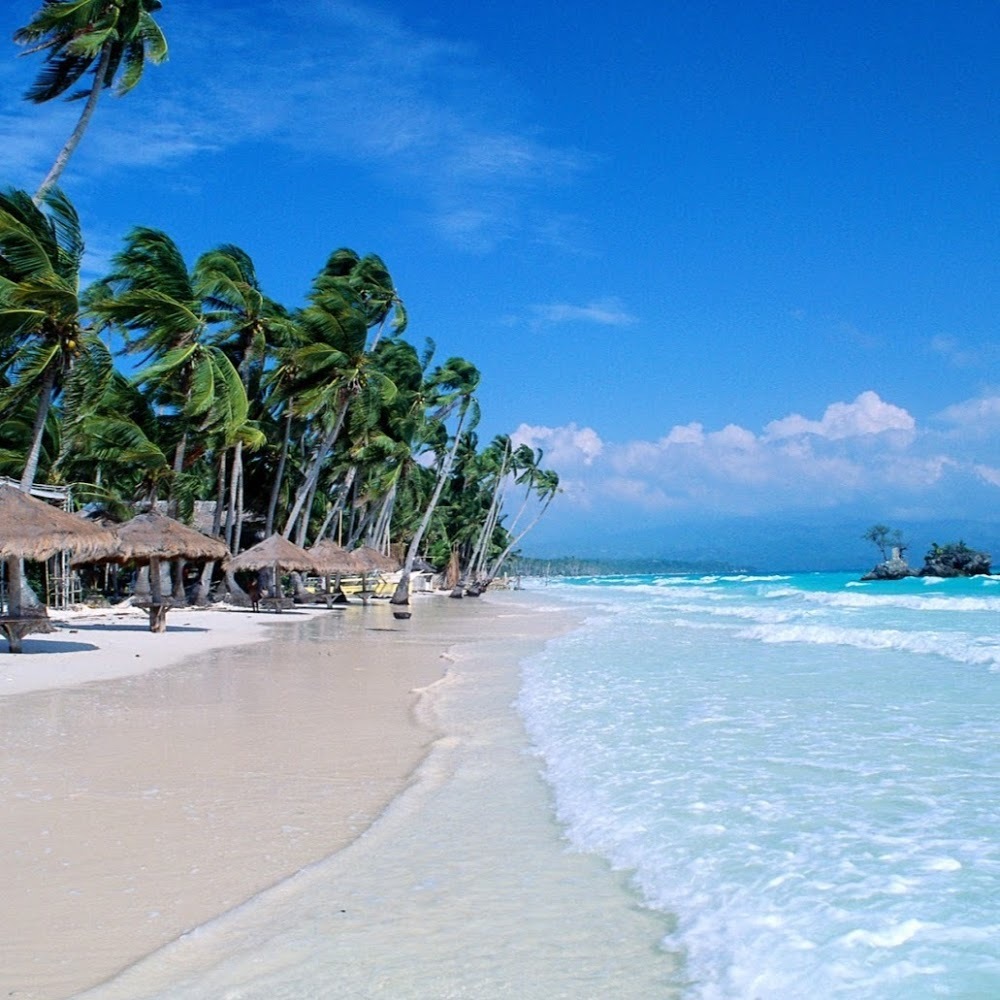 Meet your Posher, Marla